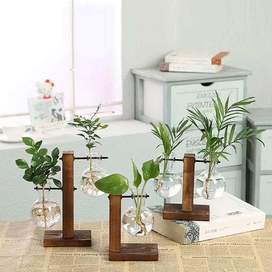 Wooden Frame Hydroponic Glass Vase